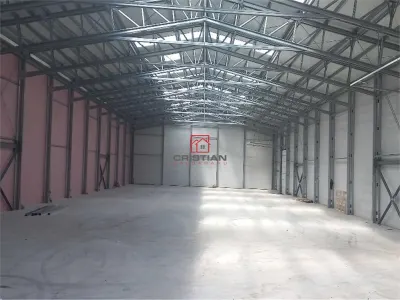 Inchiriere depozit/hala/spatiu industrial Buftea - Tamasi, Ilfov - foto 7