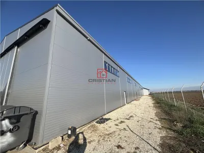 Inchiriere depozit/hala/spatiu industrial Bolintin Deal - A1 - KM23 - foto 2