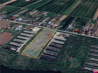 Vanzare teren intravilan Crevedia - Butimanu - DN1 A, Dambovita - foto 2