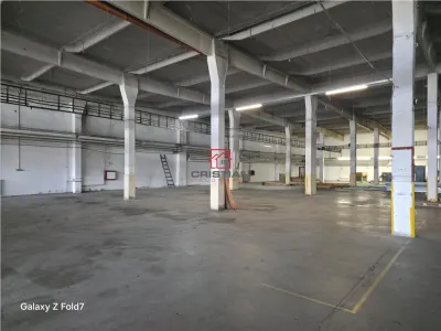 Inchiriere depozit/hala/spatiu industrial Buftea - DN1A, ILFOV - foto 15