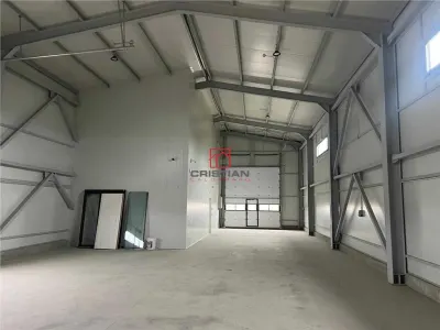 Vanzare depozit/hala/spatiu industrial Domnesti - Centura - Domnesti