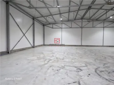 Inchiriere depozit/hala/spatiu industrial Theodor Pallady - Gara Catelul - foto 5