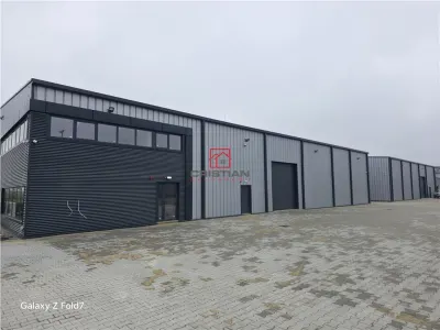 Inchiriere depozit/hala/spatiu industrial Mogosoaia - Buftea - foto 2