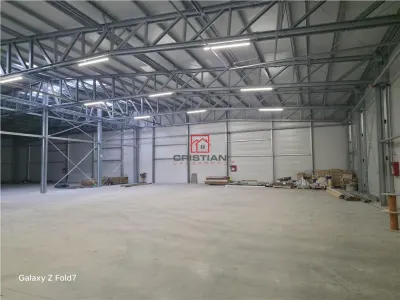 Inchiriere depozit/hala/spatiu industrial Mogosoaia - Buftea - foto 11