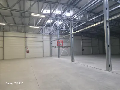 Inchiriere depozit/hala/spatiu industrial Mogosoaia - Buftea - foto 15