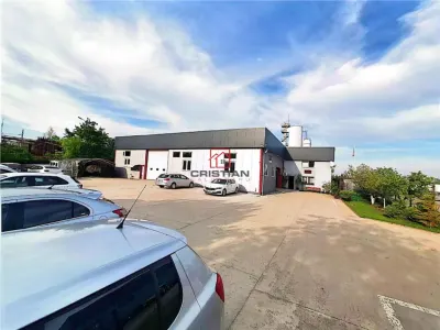 Vanzare depozit/hala/spatiu industrial - SERVICE AUTO Domnesti - Centura, ILFOV - foto 8