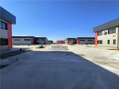 Inchiriere depozit/hala/spatiu industrial Domnesti - Centura - foto 2
