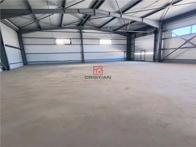 Inchiriere depozit/hala/spatiu industrial Domnesti - Centura - foto 5
