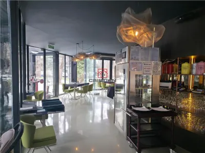 Vanzare spatiu comercial/restaurant/afacere la cheie  Nordului - Herastrau Parc, Bucuresti - foto 5