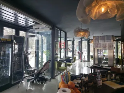 Vanzare spatiu comercial/restaurant/afacere la cheie  Nordului - Herastrau Parc, Bucuresti - foto 7