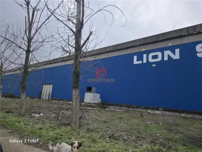 Inchiriere spatiu industrial/hala/depozit Giurgiu - Port, Giurgiu - foto 11