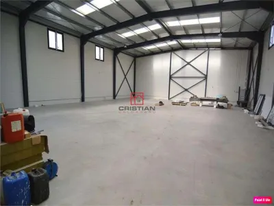 Inchiriere depozit/hala/spatiu industrial Theodor Pallady - Drumul Intre Tarlale - Oxigenului - foto 6