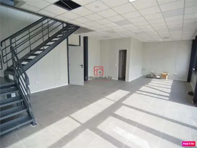 Inchiriere depozit/hala/spatiu industrial Theodor Pallady - Drumul Intre Tarlale - Oxigenului - foto 7