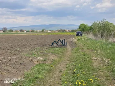 Oportunitate de investiție cu Exclusivitate! BOD, teren agricol! - foto 4