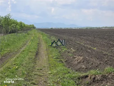 Oportunitate de investiție cu Exclusivitate! BOD, teren agricol! - foto 5