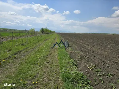 Oportunitate de investiție cu Exclusivitate! BOD, teren agricol! - foto 7