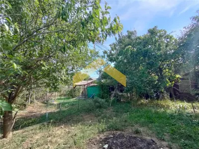 Casa de vanzare in Bodrogu Vechi - foto 3