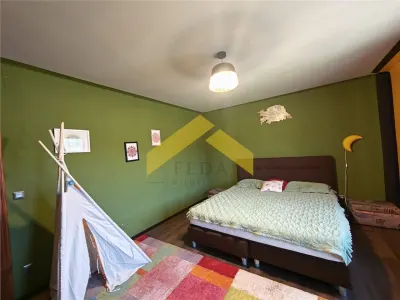 Casa de vanzare localitatea Cladova, judetul Arad - foto 11