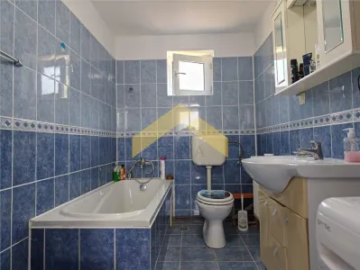 Casa cu teren 2504 mp de vanzare in localitatea Cuias, comuna Savarsin - foto 7