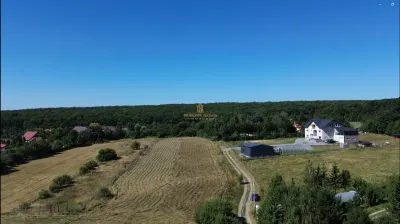 TEREN INTRAVILAN 6.200 MP | MITOCU DRAGOMIRNEI | 180,15 ML DESCHIDERE | 12 KM DE SUCEAVA | Comision 0 - foto 2