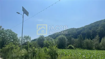 Teren Intravilan-Ideal Investitie-Podis,Margineni,Bacau - foto 3