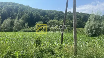 Teren Intravilan-Ideal Investitie-Podis,Margineni,Bacau - foto 4