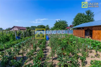 Vila P si 1E,  teren 1000 mp, loc. Dumbrava, jud Bacau - foto 13