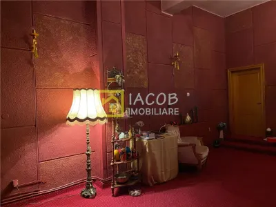 Spatiu comercial zona Parcul Catedralei Bacau - foto 12