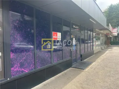 Spatiu comercial 130 mp, de inchiriat, strada Pictor Th. Aman , Bacau - foto 13