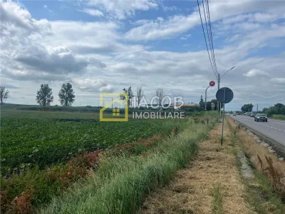 Teren intravilan, 8333 mp, la E85, comuna Secuienii Noi, jud. Neamt - foto 5