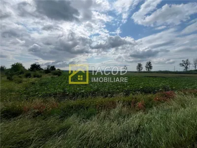 Teren intravilan, 8333 mp, la E85, comuna Secuienii Noi, jud. Neamt - foto 6