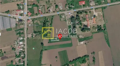 Pachet rural: apartament + bucatarie de vara + boxa+ 2.500 mp teren, Damienesti - foto 6