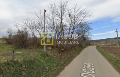 Teren intravilan, sat Petricica, comuna Strugari, Bacau - foto 3