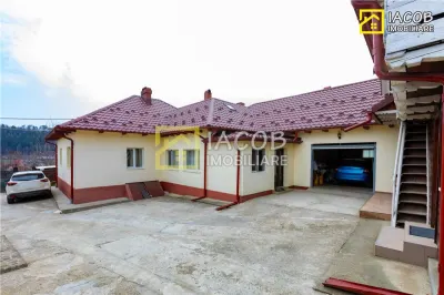 Casa, anexe, 3762 mp teren, 25000 mp padure, Comanesti, jud. Bacau - foto 12
