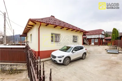 Casa, anexe, 3762 mp teren, 25000 mp padure, Comanesti, jud. Bacau - foto 19