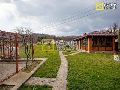 Casa, anexe, 3762 mp teren, 25000 mp padure, Comanesti, jud. Bacau - foto 9