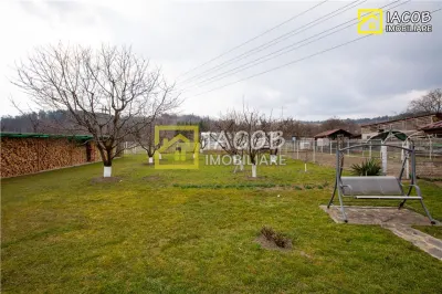 Casa, anexe, 3762 mp teren, 25000 mp padure, Comanesti, jud. Bacau - foto 10