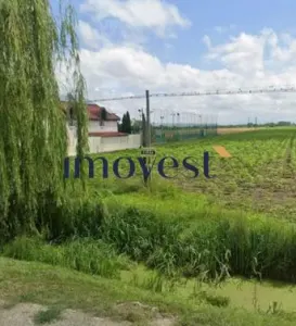 De vanzare teren extravilan - Satu Mare