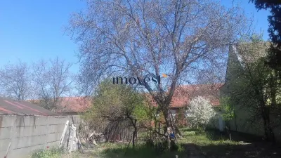 Terenuri  de vanzare - Satu Mare