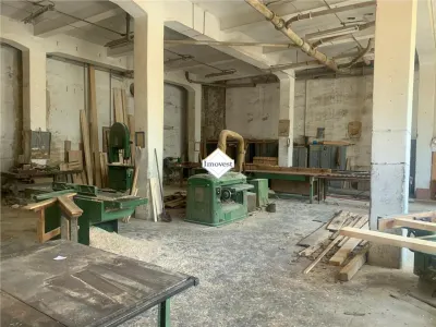 Hale industriale de inchiriere pana la 25 500 mp - foto 12