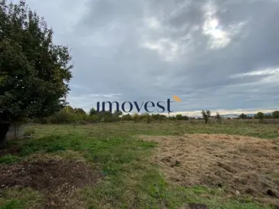 Casa de Vanzare in Valea Vinului - 2 Case cu 3000 mp Teren, Anexe - 85.000 EUR - foto 12