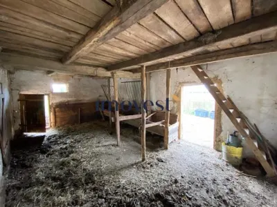 Casa de Vanzare in Valea Vinului - 2 Case cu 3000 mp Teren, Anexe - 85.000 EUR - foto 13