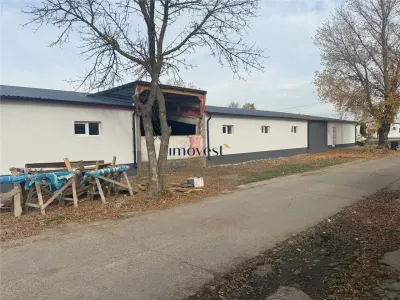 Hale industriale de închiriat  Parc industrial Careiului, Satu Mare - foto 5