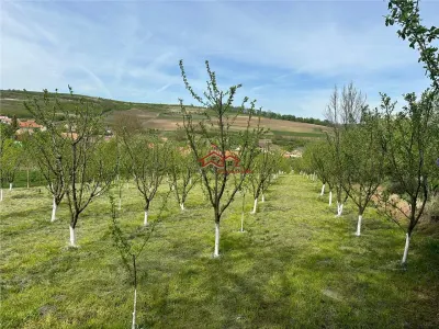 teren construibil cu livada pomi,sat Hasag,jud.Sibiu,comision 0 - foto 5