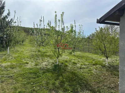 teren construibil cu livada pomi,sat Hasag,jud.Sibiu,comision 0 - foto 7