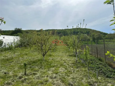 teren construibil cu livada pomi,sat Hasag,jud.Sibiu,comision 0 - foto 8