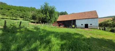 casa sat Sangatin, jud.Sibiu, cu teren1.93 Ha,comision 0 - foto 17