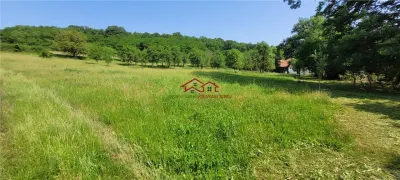 casa sat Sangatin, jud.Sibiu, cu teren1.93 Ha,comision 0 - foto 18