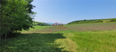 casa sat Sangatin, jud.Sibiu, cu teren1.93 Ha,comision 0 - foto 20