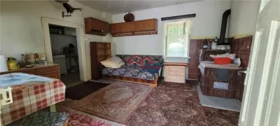 casa sat Sangatin, jud.Sibiu, cu teren1.93 Ha,comision 0 - foto 10